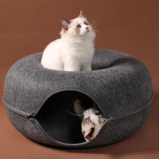 Cat Fun Tunnel