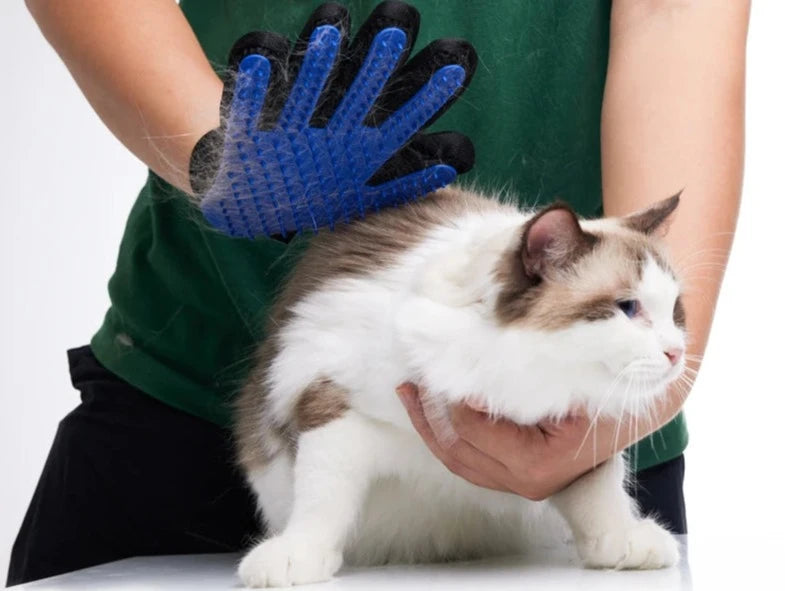 Pet Grooming Glove