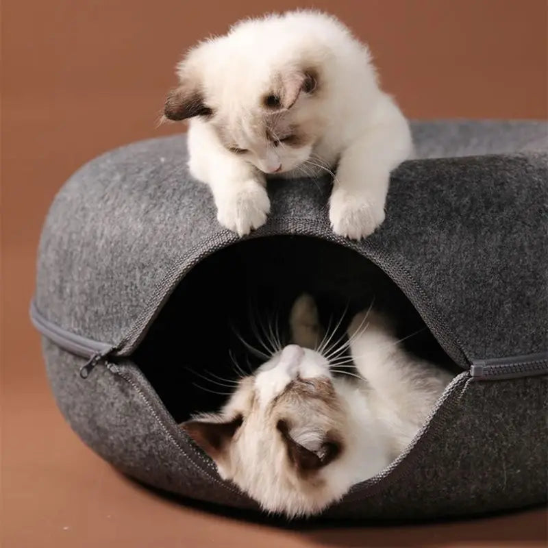 Cat Fun Tunnel