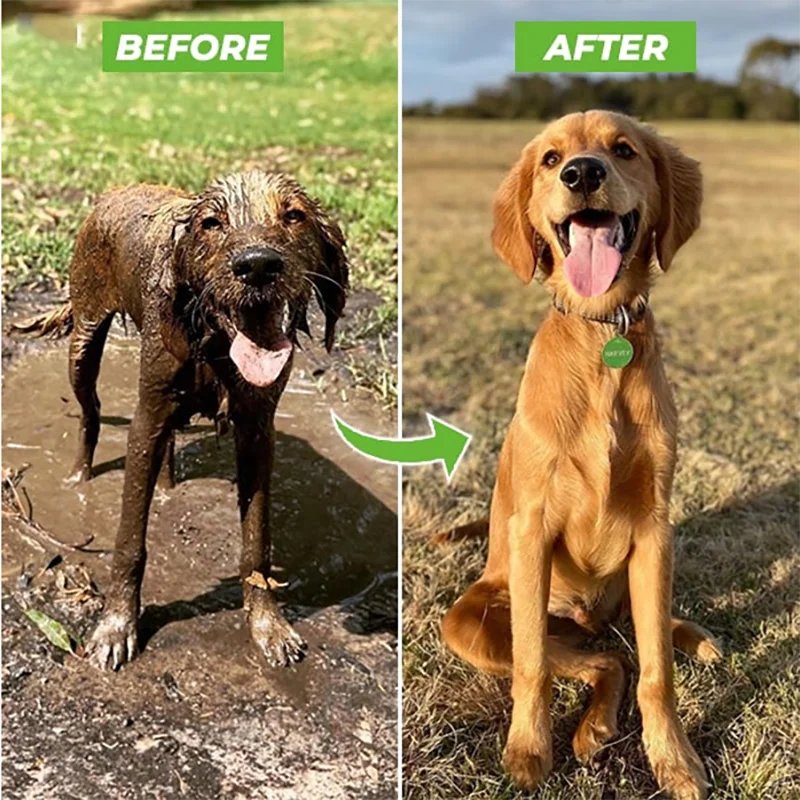 Foam Jet Washer & Shampoo Sprayer For Pets