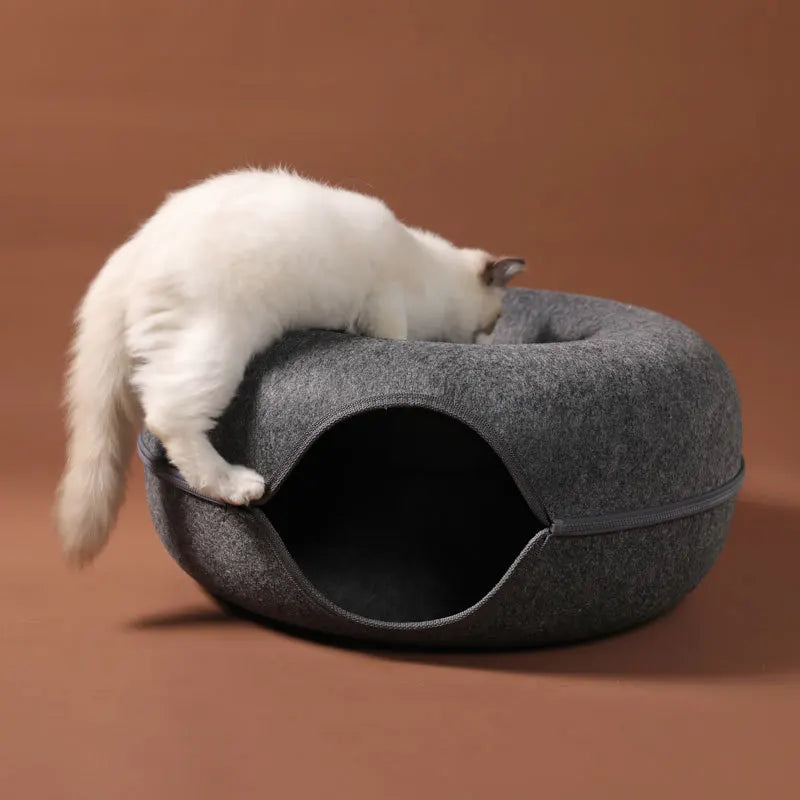 Cat Fun Tunnel